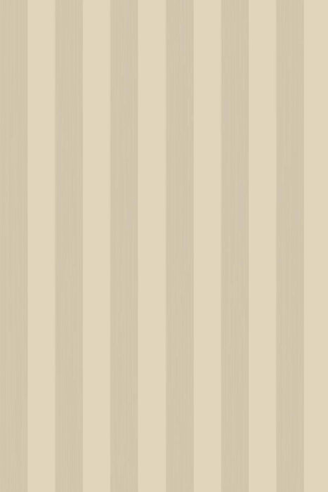 Plain Stripe 1102