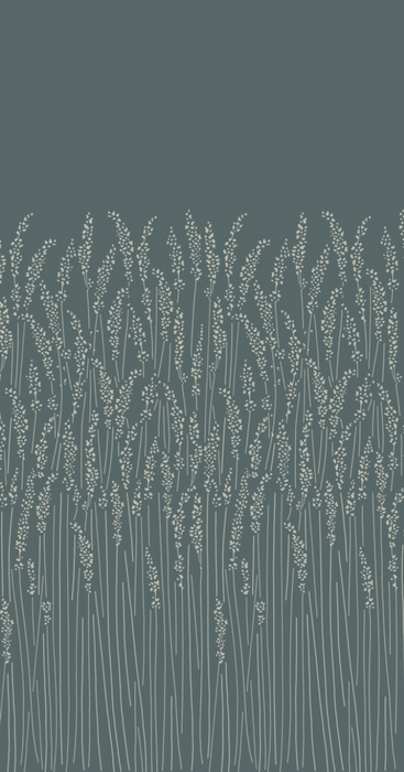 Feather Grass 5108