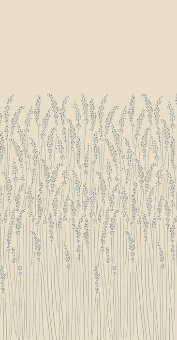 Feather Grass 5109