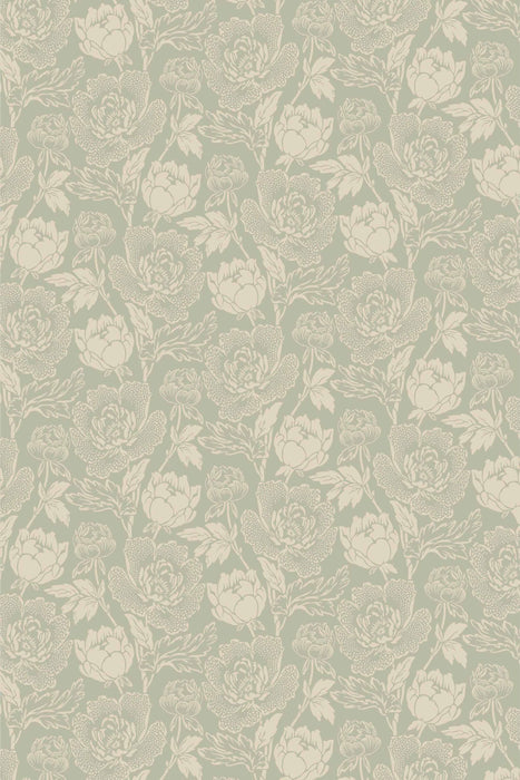 Peony 2313