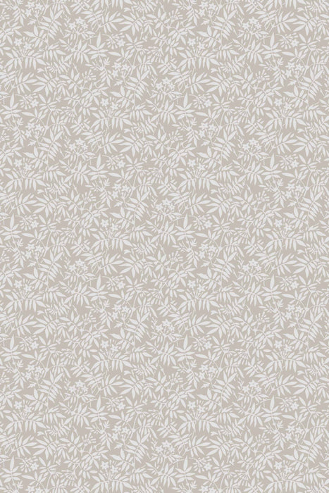 Jasmine 3902
