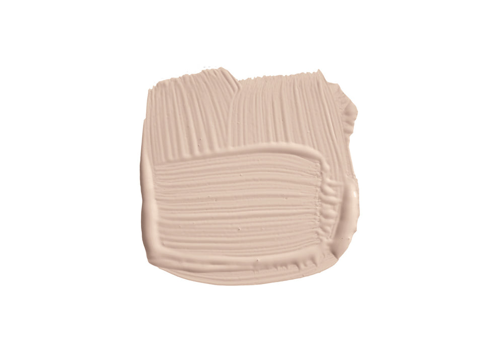 Setting Plaster - No. 231