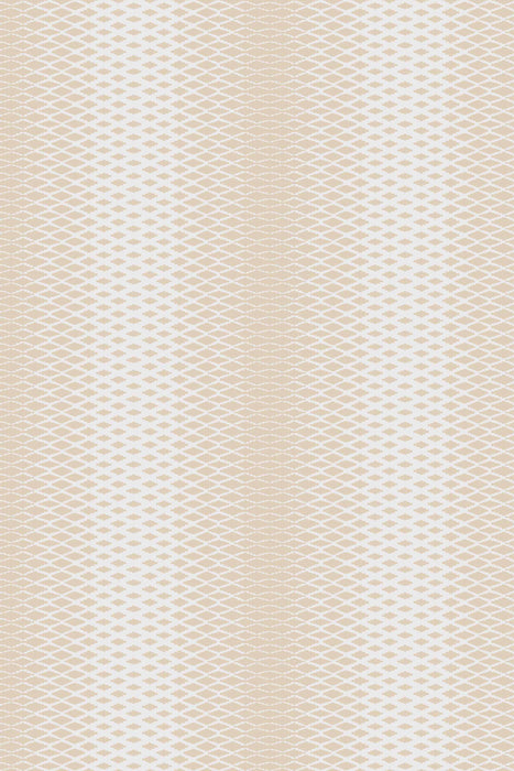 Lattice 3501