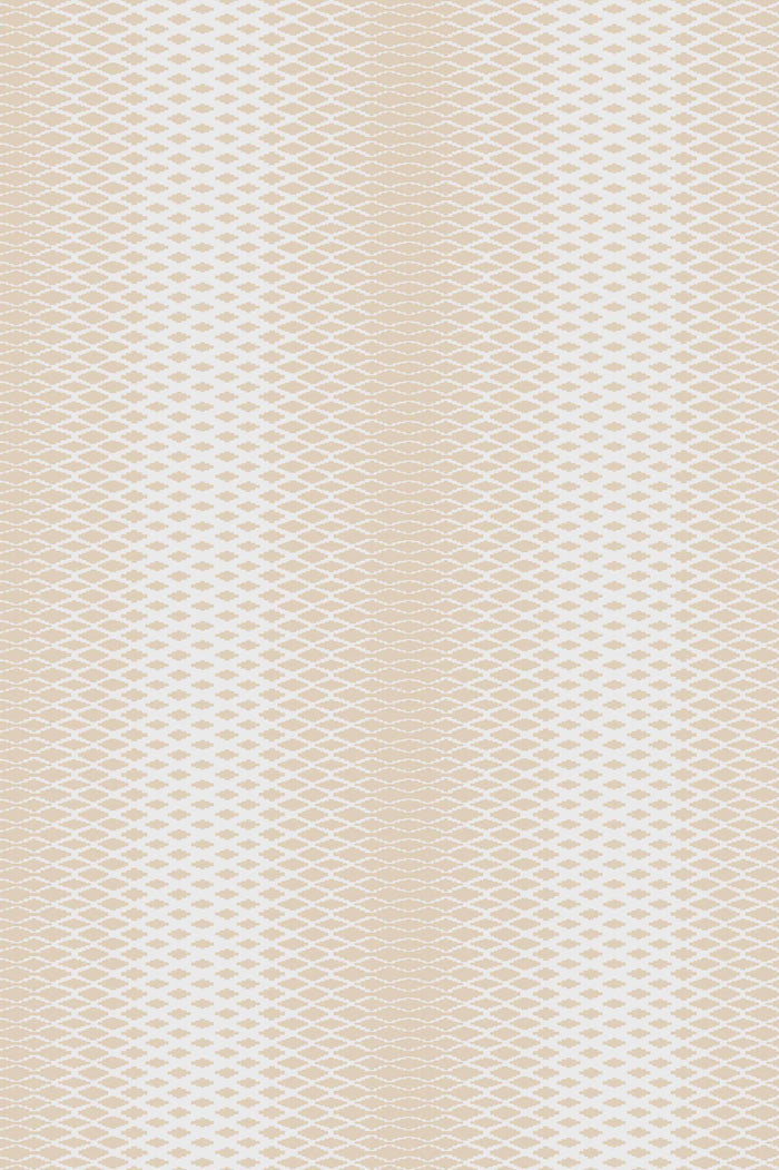 Lattice