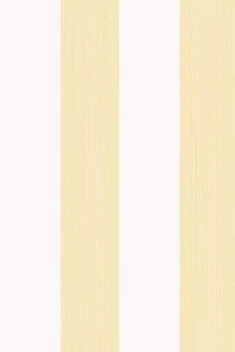Broad Stripe 1319