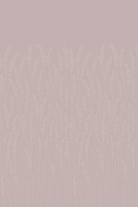 Feather Grass 5103