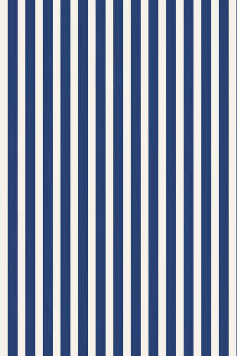 Closet Stripe 364