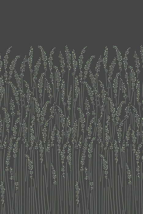 Feather Grass 5106