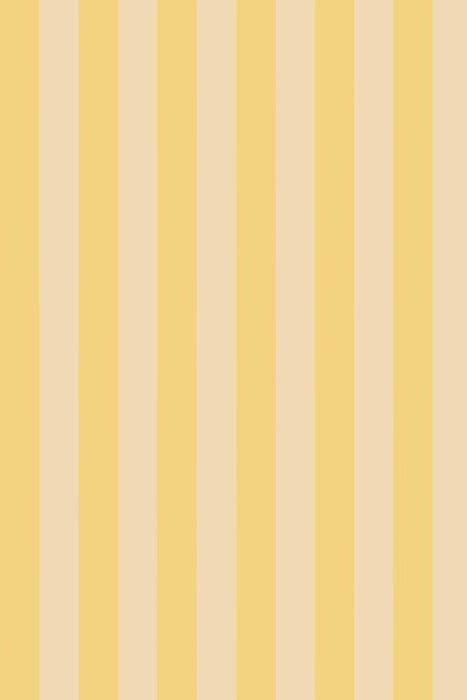 Plain Stripe 1139