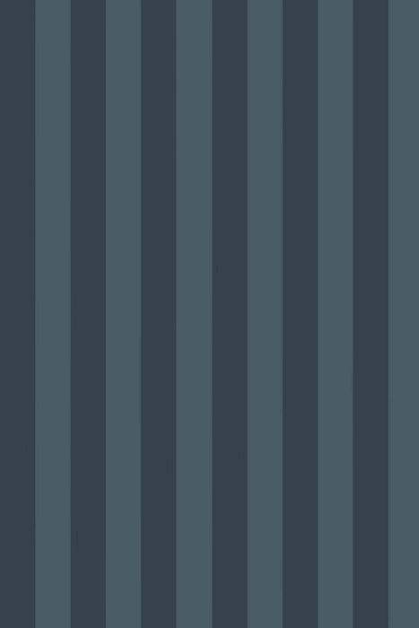 Plain Stripe 1172