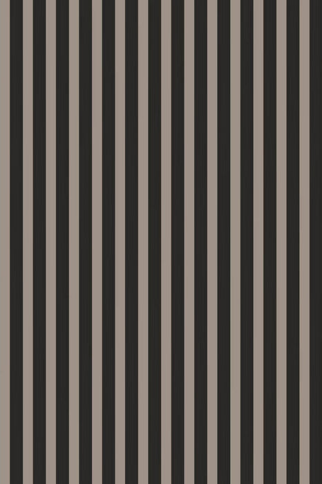 Closet Stripe 352