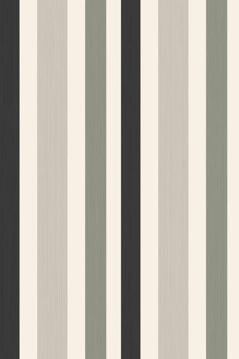 Chromatic Stripe 4201
