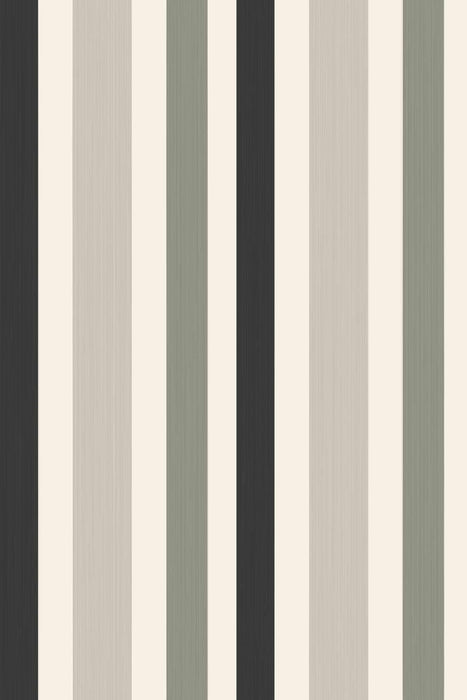 Chromatic Stripe 4201