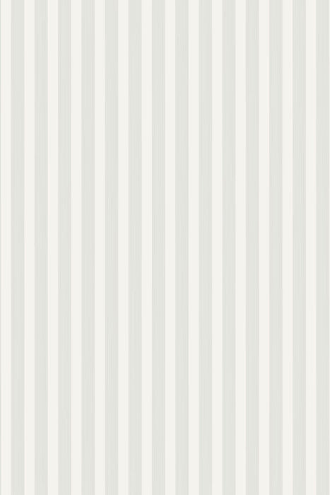 Closet Stripe 361