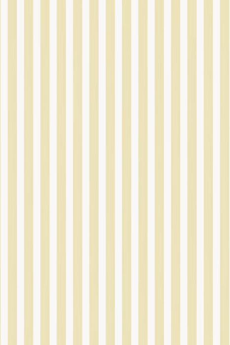 Closet Stripe 356