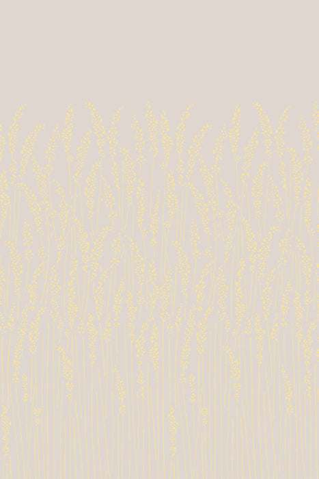 Feather Grass 5104