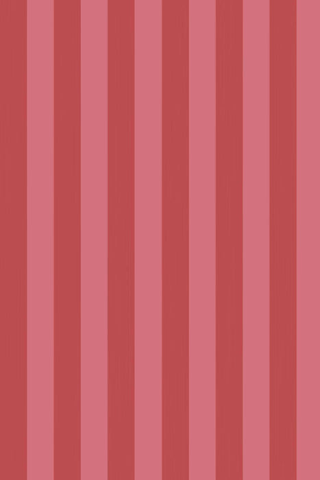 Plain Stripe 1136