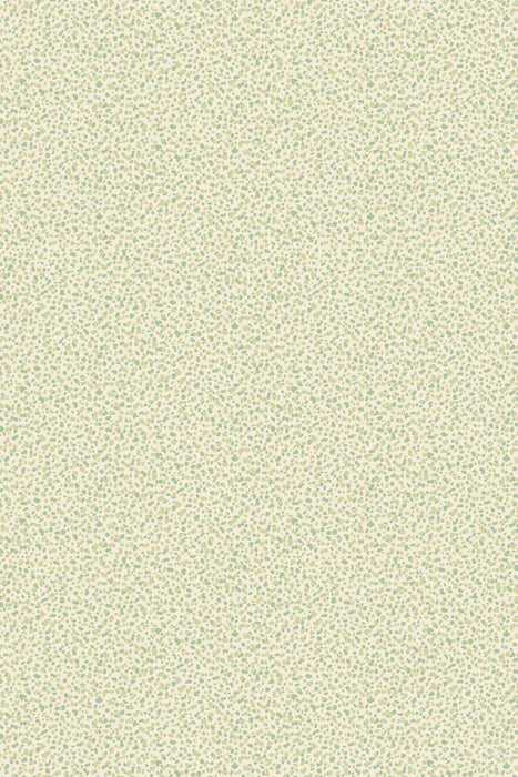 Blostma 5205
