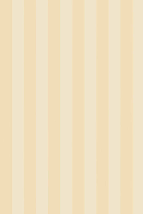 Plain Stripe 1143