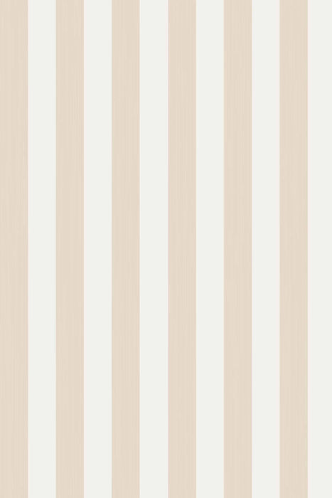 Plain Stripe 1173