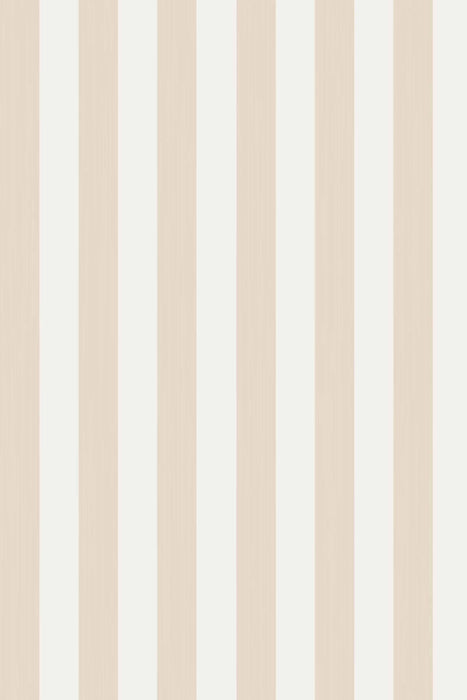 Plain Stripe 1173