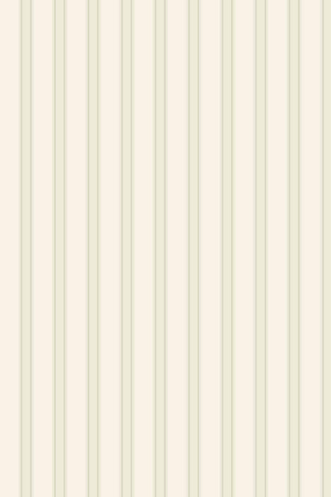 Block Print Stripe 733