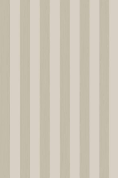 Plain Stripe 1115
