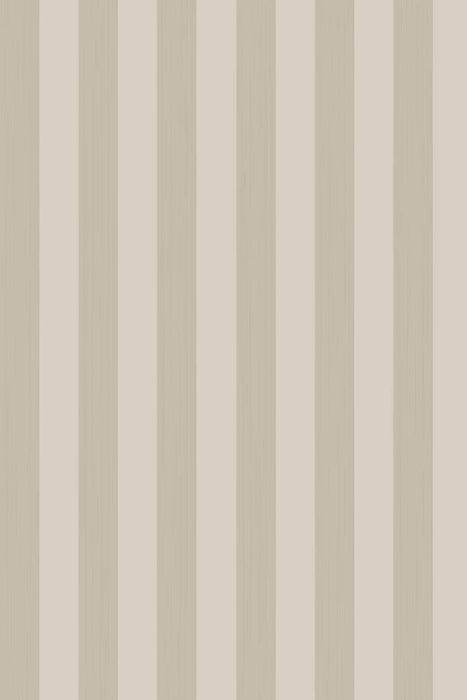 Plain Stripe 1115