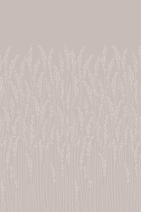 Feather Grass 5101