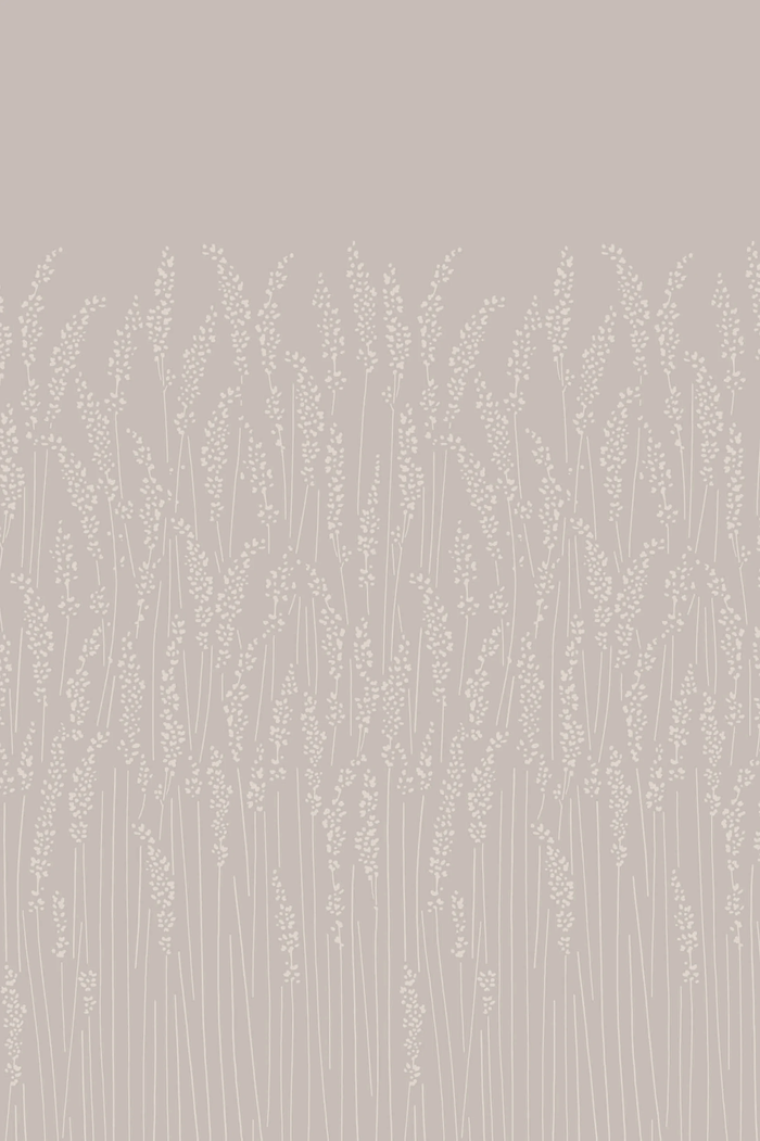 Feather Grass