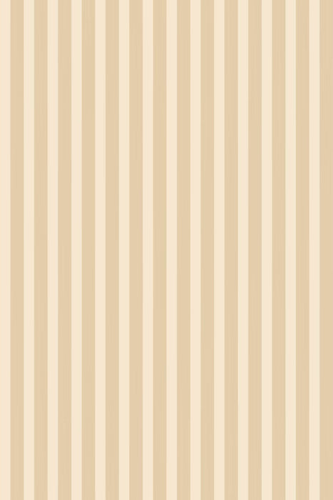 Closet Stripe 347