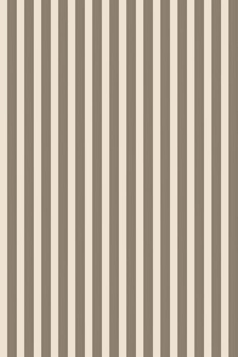 Closet Stripe 350