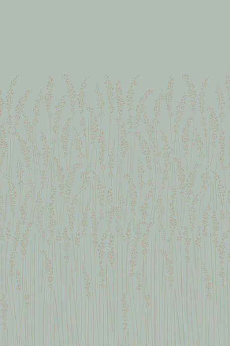 Feather Grass 5107