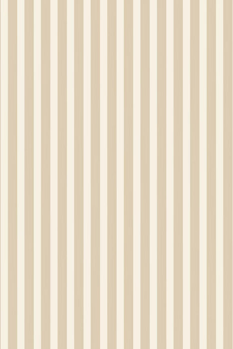 Closet Stripe 346