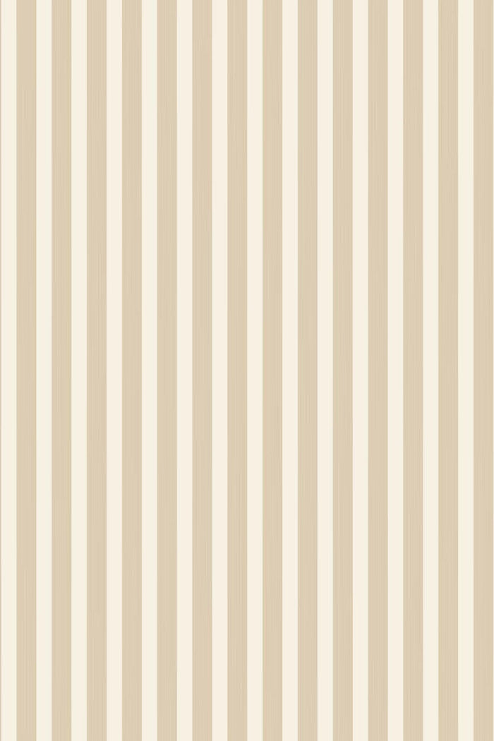 Closet Stripe