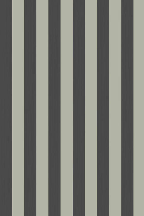 Plain Stripe 1174