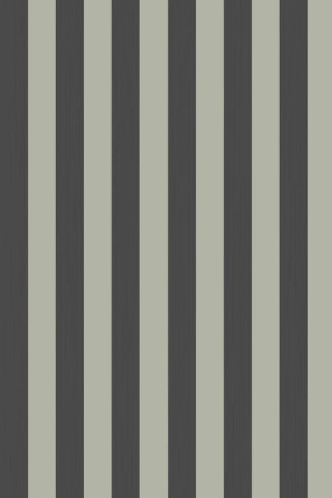 Plain Stripe 1174