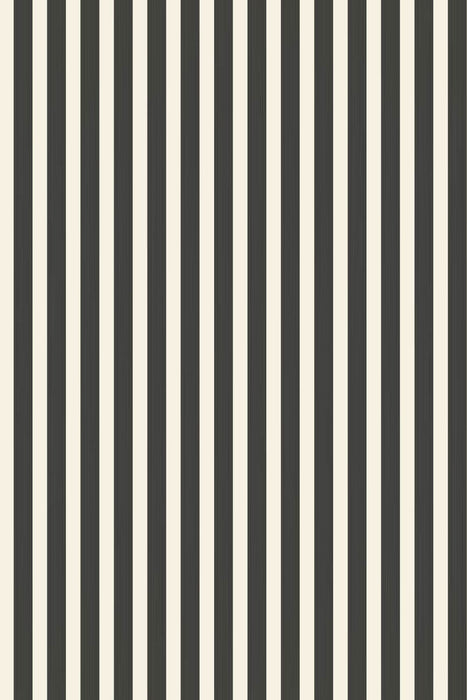 Closet Stripe 351