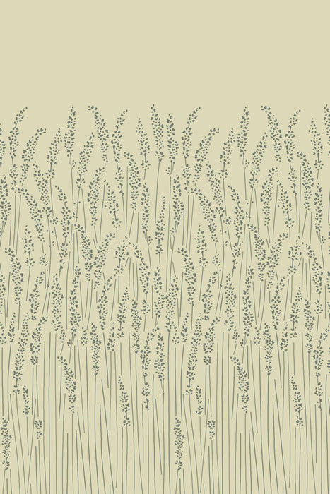 Feather Grass 5105
