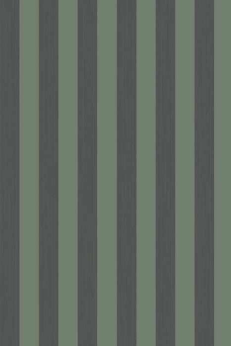 Plain Stripe 1166
