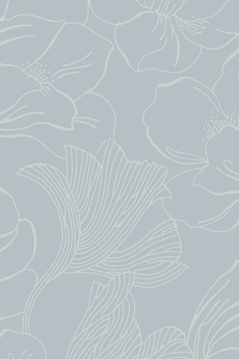 Helleborus 5604